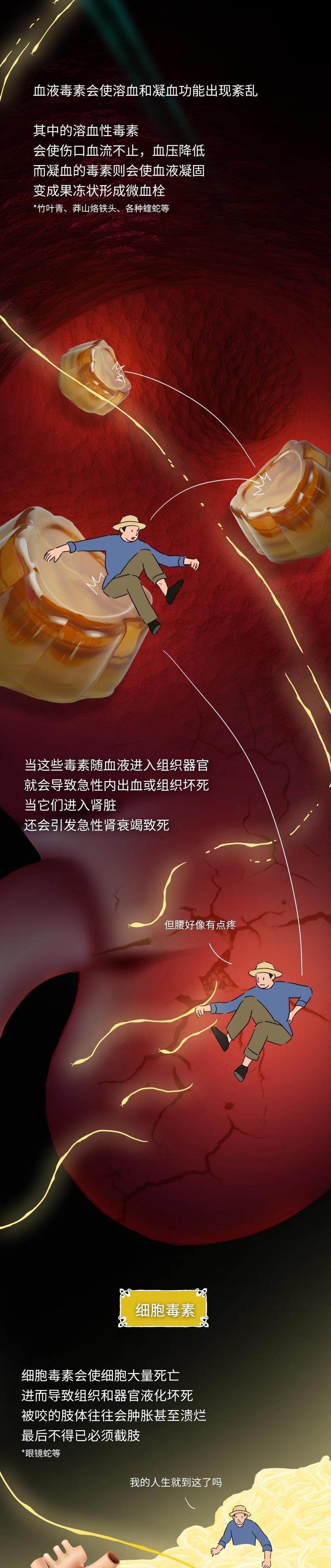 老澳门最新开奖结果今天和被蛇咬两年仍后遗症与被蛇咬了几年后身体有毒素吗